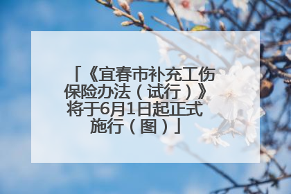 《宜春市补充工伤保险办法（试行）》将于6月1日起正式施行（图）