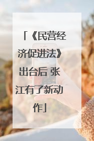 《民营经济促进法》出台后 张江有了新动作