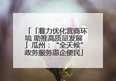 「着力优化营商环境 助推高质量发展」瓜州：“全天候”政务服务惠企便民