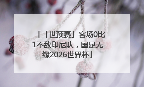 「世预赛」客场0比1不敌印尼队，国足无缘2026世界杯