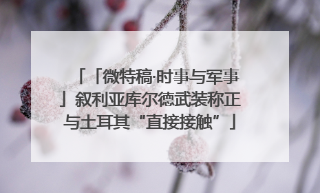 「微特稿·时事与军事」叙利亚库尔德武装称正与土耳其“直接接触”