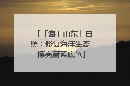 「海上山东」日照：修复海洋生态 擦亮蔚蓝底色