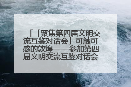 「聚焦第四届文明交流互鉴对话会」可触可感的敦煌——参加第四届文明交流互鉴对话会的外宾参观上元市集
