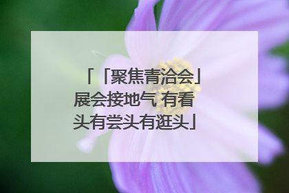 「聚焦青洽会」展会接地气 有看头有尝头有逛头