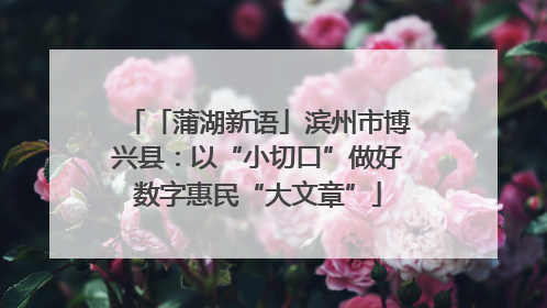 「蒲湖新语」滨州市博兴县：以“小切口”做好数字惠民“大文章”