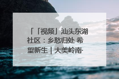 「视频」汕头东湖社区：乡愁归处 希望新生｜大美岭南·百村焕新记
