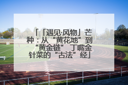 「遇见·风物」芒种：从“黄花地”到“黄金链” 丁嘴金针菜的“古法”经