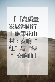 「高质量发展调研行」施秉花山村：奏响“红”与“绿”交响曲