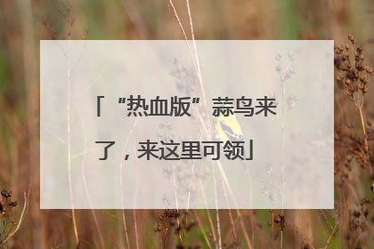 “热血版”蒜鸟来了，来这里可领