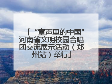 “童声里的中国”河南省文明校园合唱团交流展示活动（郑州站）举行