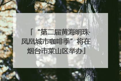 “第二届黄海明珠·凤凰城市咖啡季”将在烟台市莱山区举办