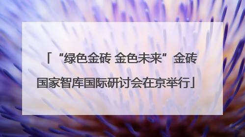 “绿色金砖 金色未来”金砖国家智库国际研讨会在京举行