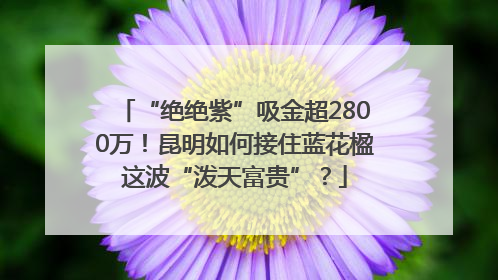 “绝绝紫”吸金超2800万！昆明如何接住蓝花楹这波“泼天富贵”？