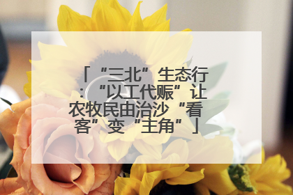 “三北”生态行：“以工代赈”让农牧民由治沙“看客”变“主角”