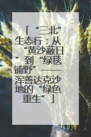 “三北”生态行：从“黄沙蔽日”到“绿毯铺野”——浑善达克沙地的“绿色重生”