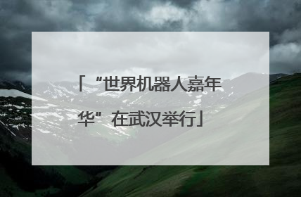 “世界机器人嘉年华”在武汉举行