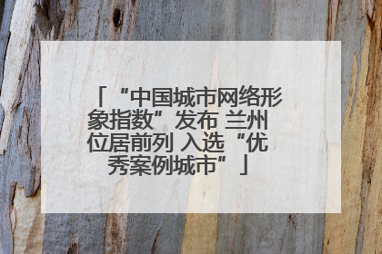 “中国城市网络形象指数”发布 兰州位居前列 入选“优秀案例城市”
