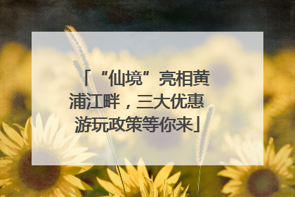 “仙境”亮相黄浦江畔，三大优惠游玩政策等你来