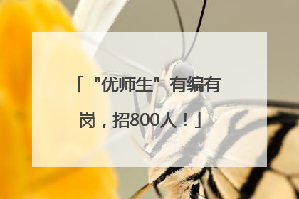 “优师生”有编有岗，招800人！