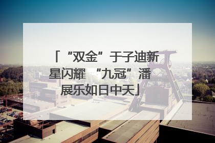 “双金”于子迪新星闪耀 “九冠”潘展乐如日中天