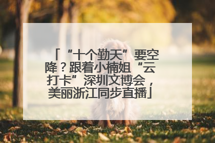 “十个勤天”要空降？跟着小楠姐“云打卡”深圳文博会，美丽浙江同步直播