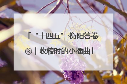 “十四五”·衡阳答卷③｜收粮时的小插曲
