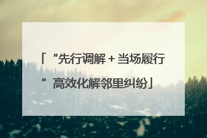 “先行调解＋当场履行”高效化解邻里纠纷