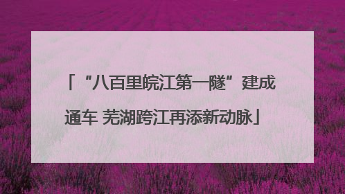 “八百里皖江第一隧”建成通车 芜湖跨江再添新动脉