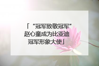 “冠军致敬冠军” 赵心童成为比亚迪冠军形象大使