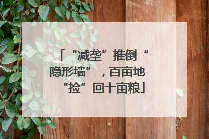 “减垄”推倒“隐形墙”，百亩地“捡”回十亩粮