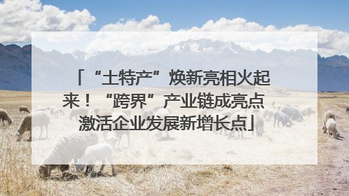 “土特产”焕新亮相火起来！“跨界”产业链成亮点 激活企业发展新增长点