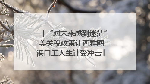 “对未来感到迷茫” 美关税政策让西雅图港口工人生计受冲击