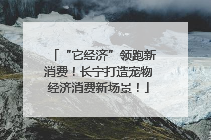 “它经济”领跑新消费！长宁打造宠物经济消费新场景！