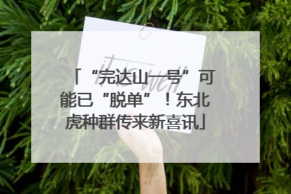 “完达山一号”可能已“脱单”！东北虎种群传来新喜讯