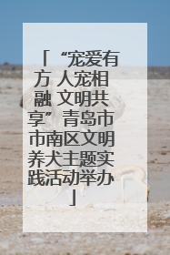“宠爱有方 人宠相融 文明共享”青岛市市南区文明养犬主题实践活动举办