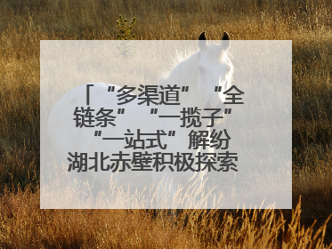 “多渠道”“全链条”“一揽子”“一站式”解纷 湖北赤壁积极探索综治中心规范化建设新路子