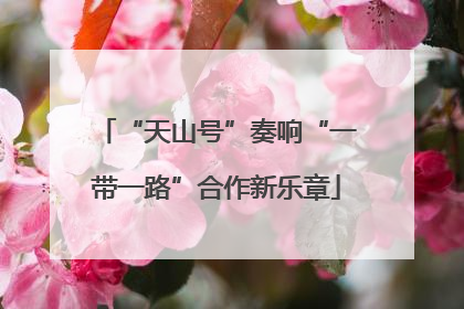 “天山号”奏响“一带一路”合作新乐章