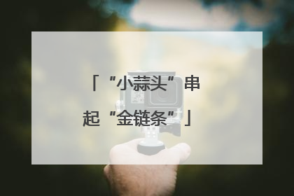 “小蒜头”串起“金链条”