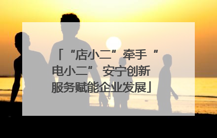 “店小二”牵手“电小二” 安宁创新服务赋能企业发展