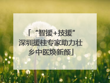 “智援+技援” 深圳援桂专家助力壮乡中医焕新颜