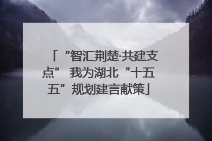 “智汇荆楚·共建支点” 我为湖北“十五五”规划建言献策
