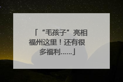 “毛孩子”亮相福州这里！还有很多福利……