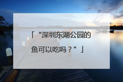 “深圳东湖公园的鱼可以吃吗？”