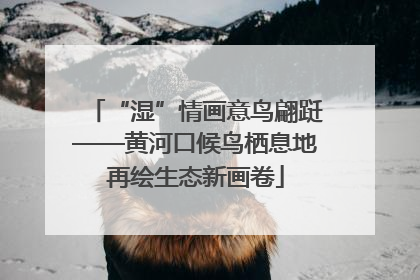 “湿”情画意鸟翩跹——黄河口候鸟栖息地再绘生态新画卷