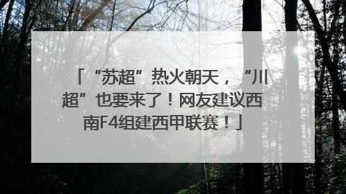 “苏超”热火朝天，“川超”也要来了！网友建议西南F4组建西甲联赛！
