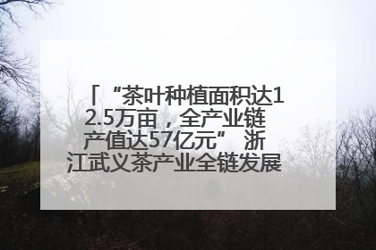 “茶叶种植面积达12.5万亩，全产业链产值达57亿元” 浙江武义茶产业全链发展“加速度”