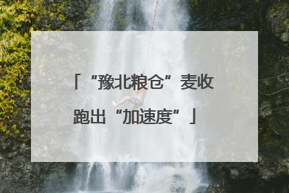 “豫北粮仓”麦收跑出“加速度”