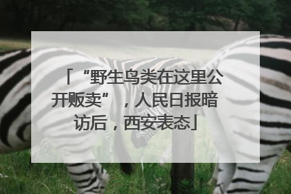 “野生鸟类在这里公开贩卖”，人民日报暗访后，西安表态