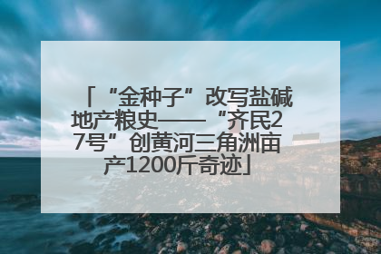 “金种子”改写盐碱地产粮史——“齐民27号”创黄河三角洲亩产1200斤奇迹