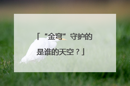 “金穹”守护的是谁的天空？